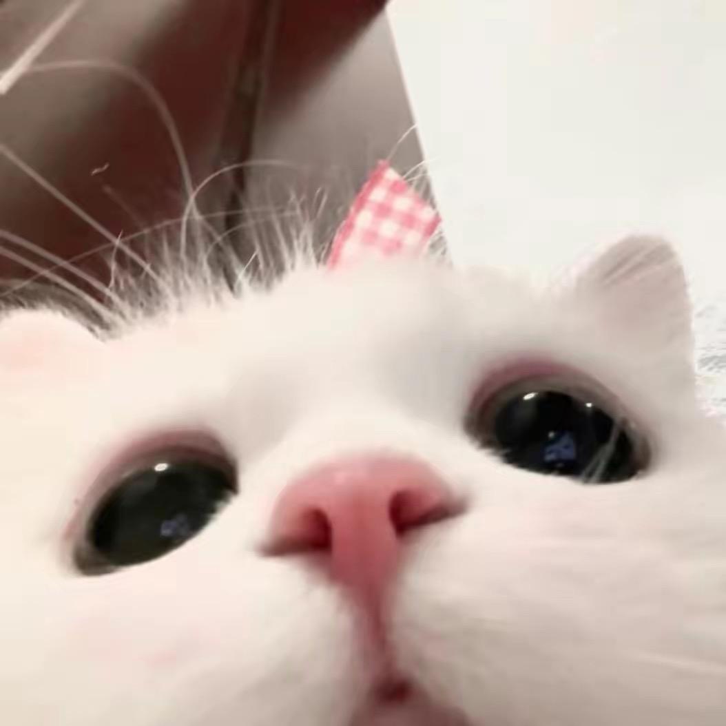 小晶.