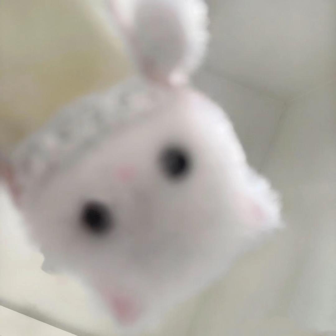 珂ke_