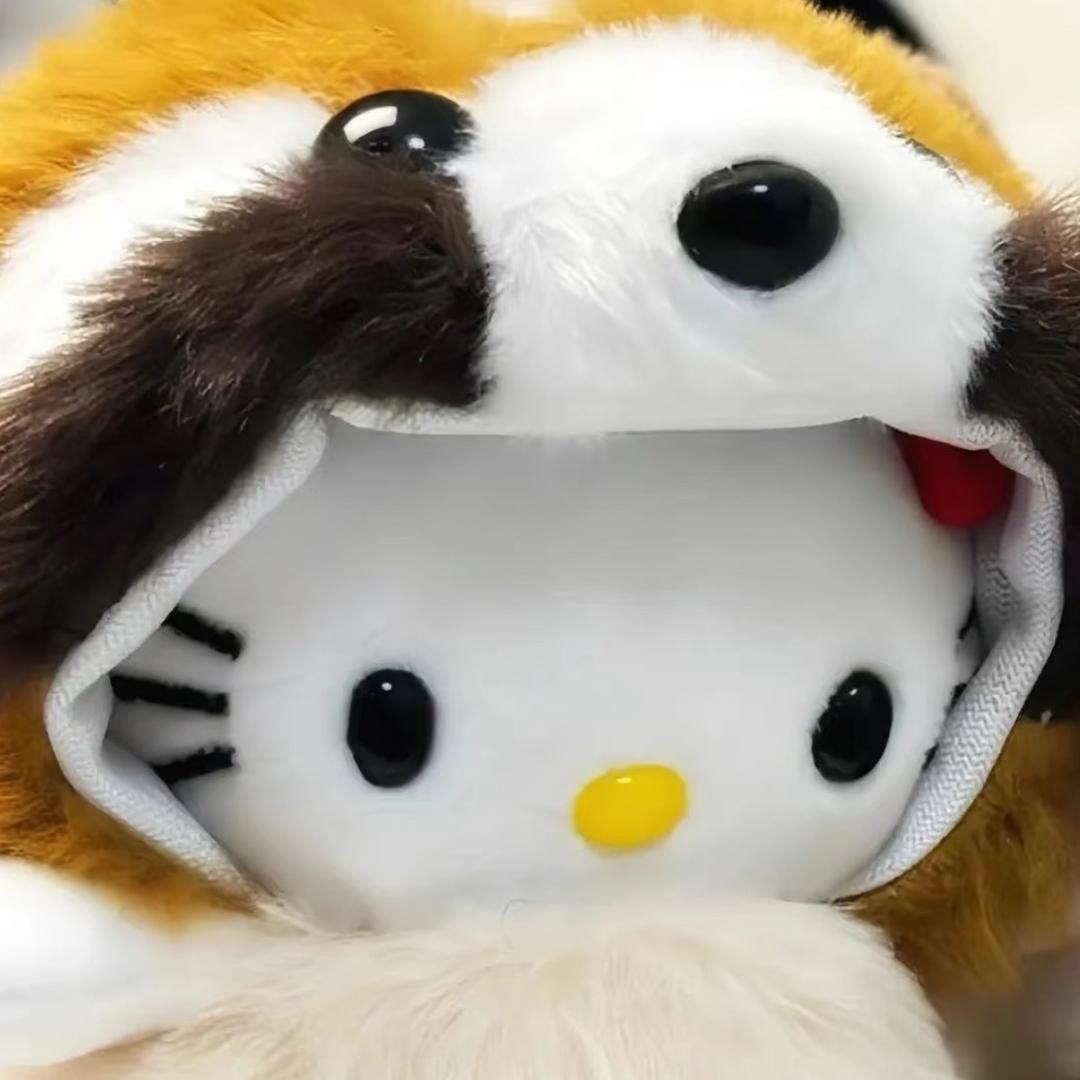 Miaao