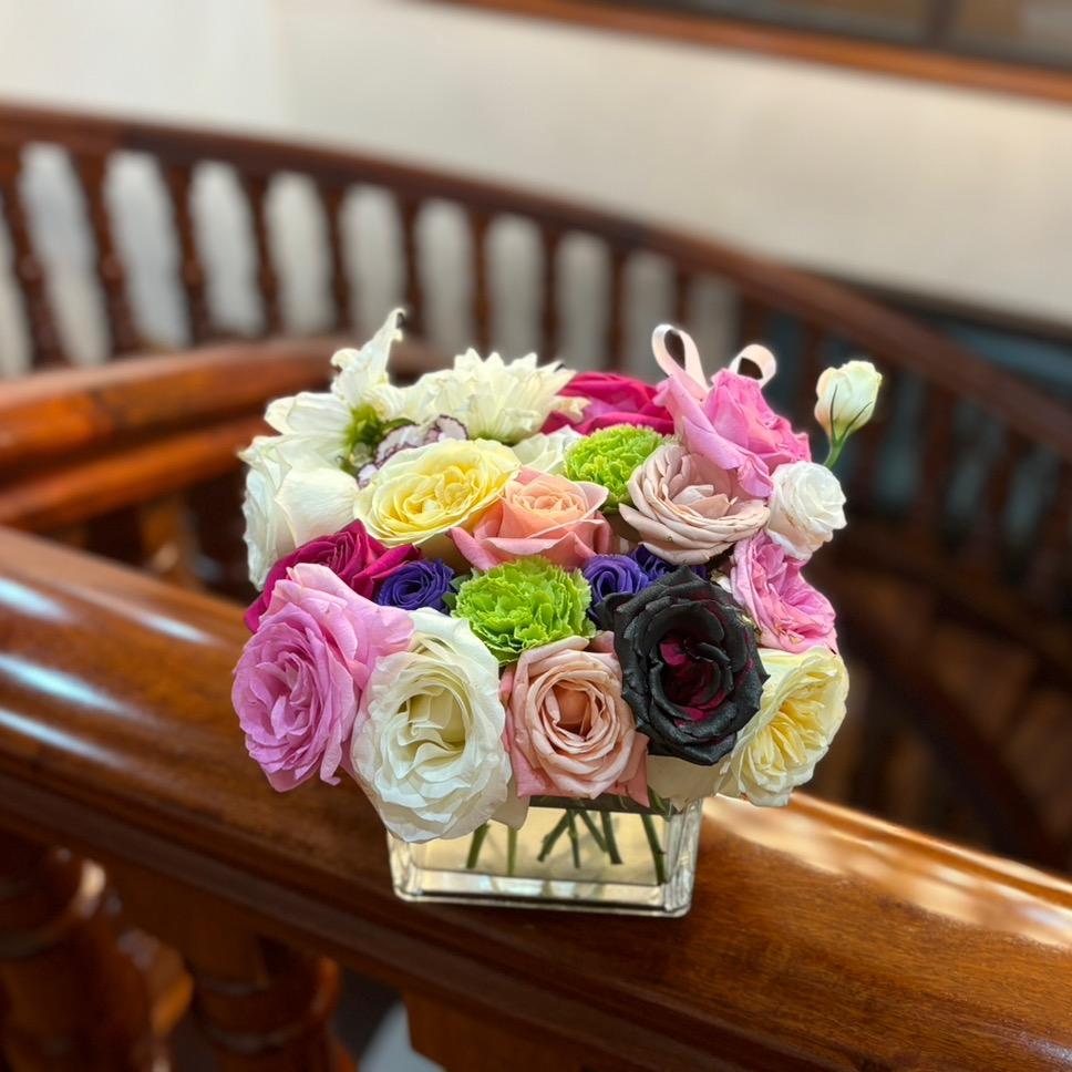 Scorpio♥️3.9 ♡⃝