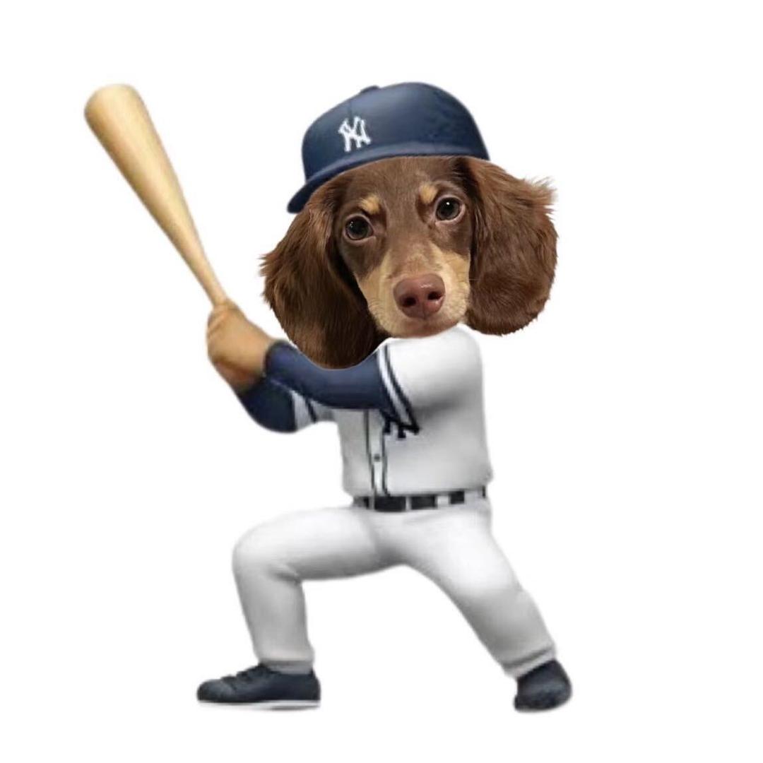 今天能多吃点吗