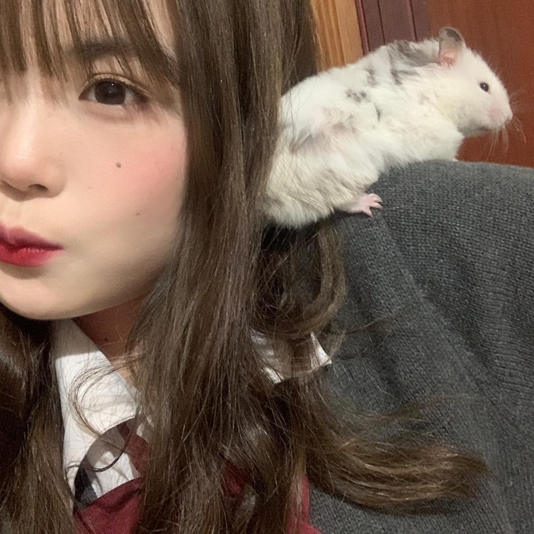 鼠鼠代王