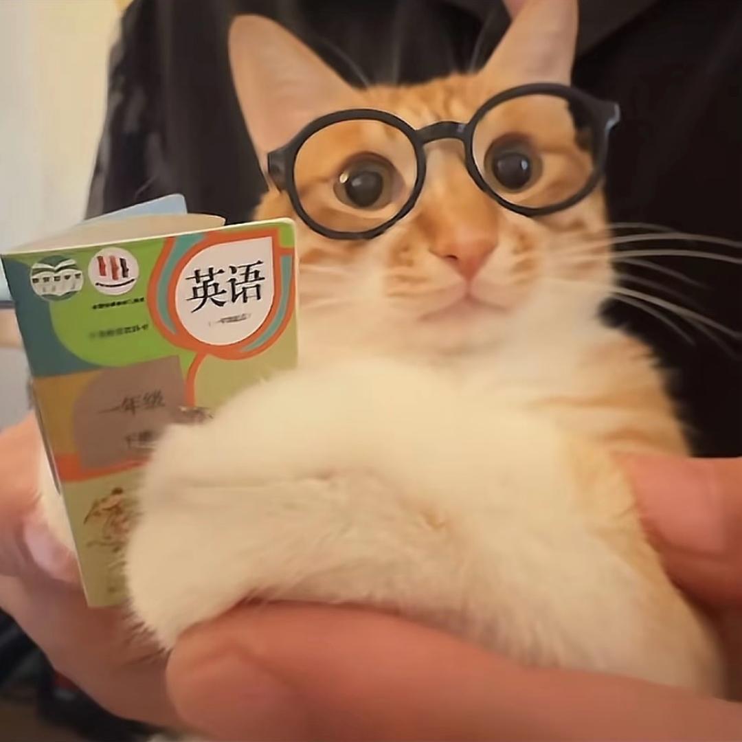 沅
