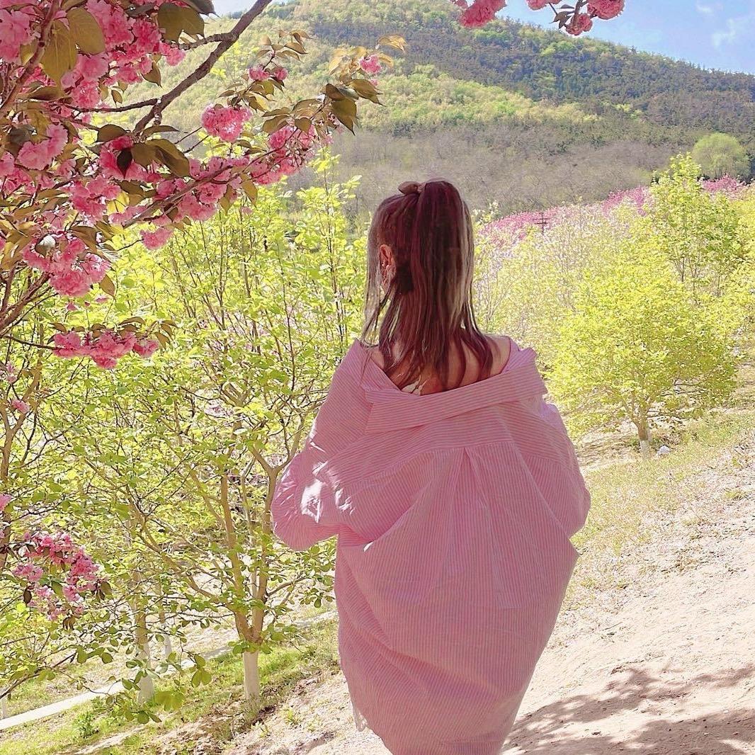 🌸𨰻𨰻🌸