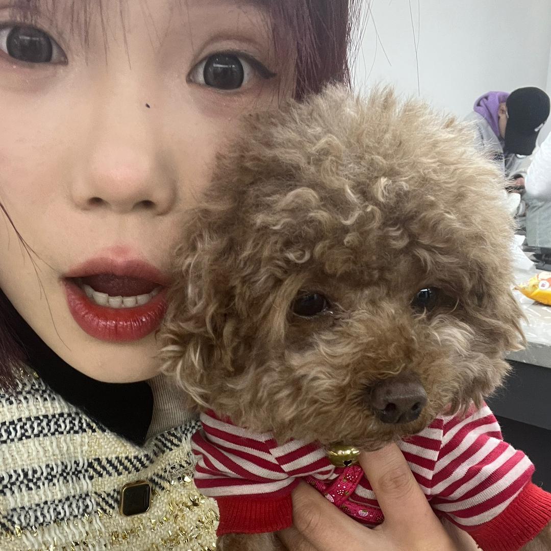 黄好好”💚