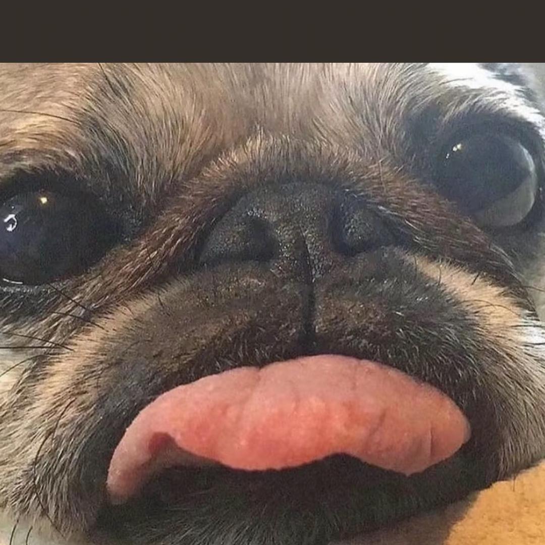 Sue