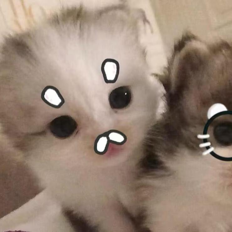 小婷天下第一萌