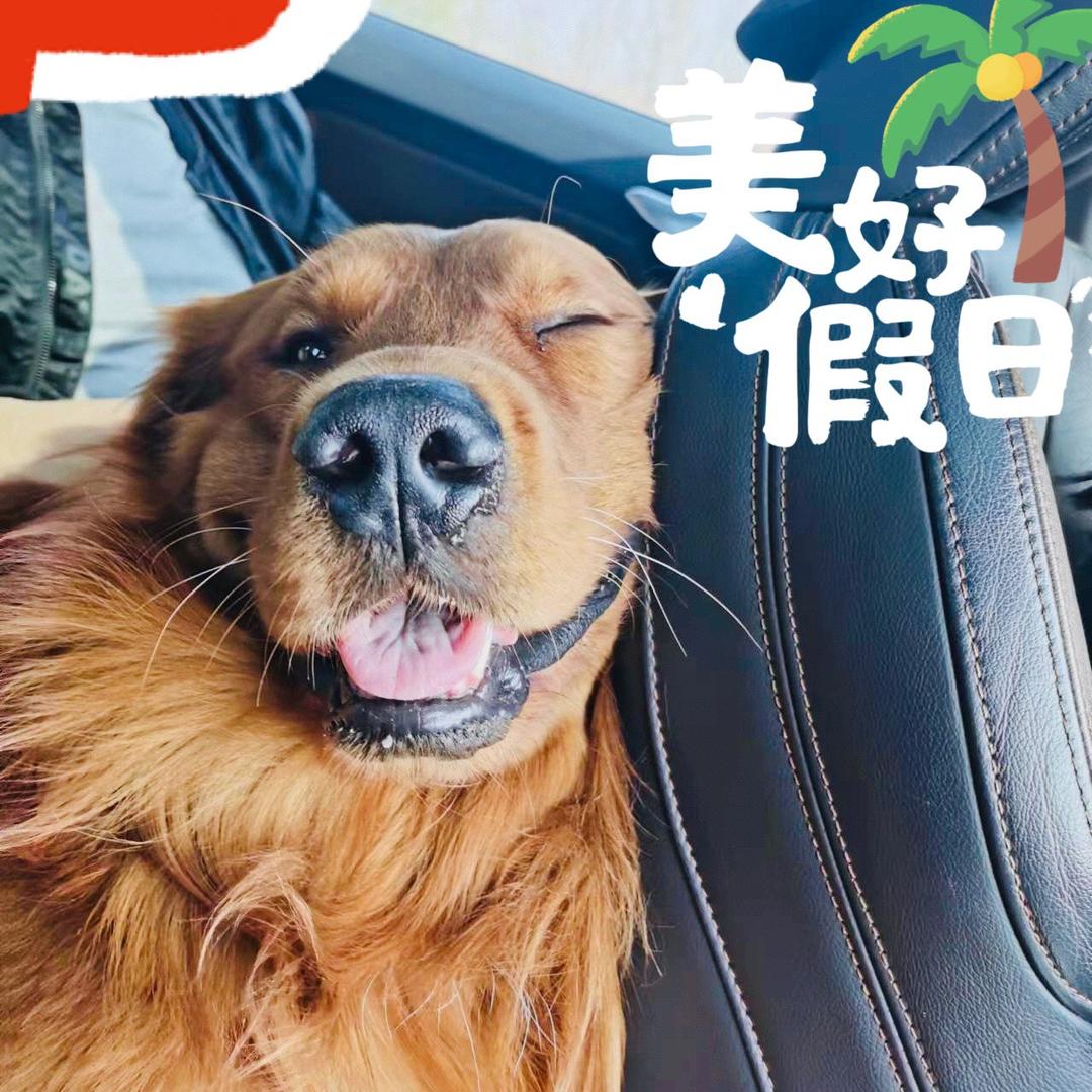 大桃子探探