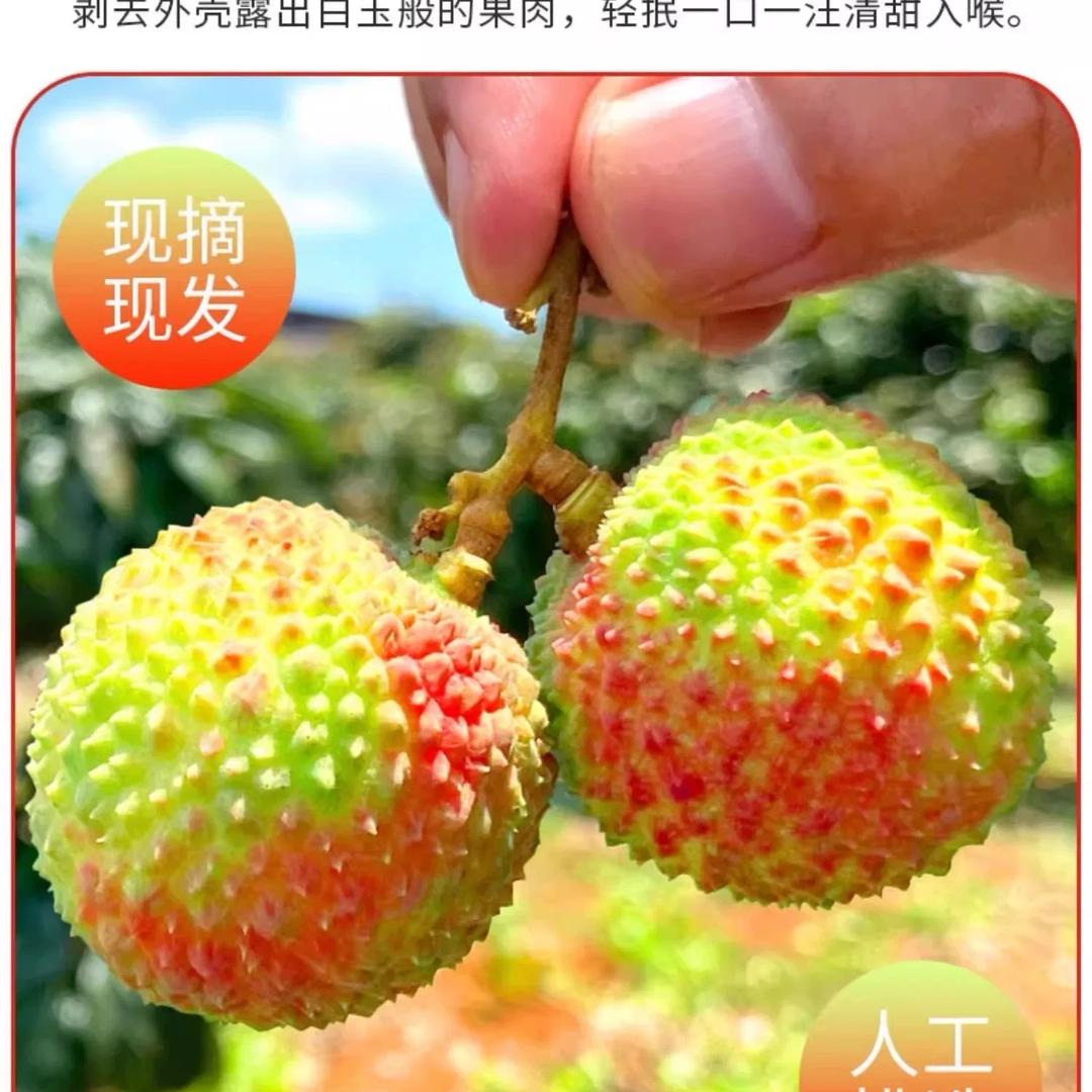 宁静致远001