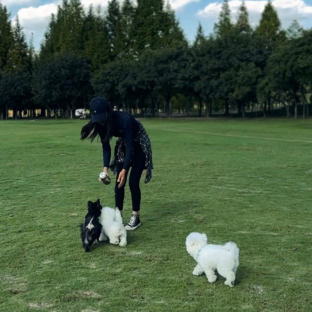 她姑🏍️（烧烤版）