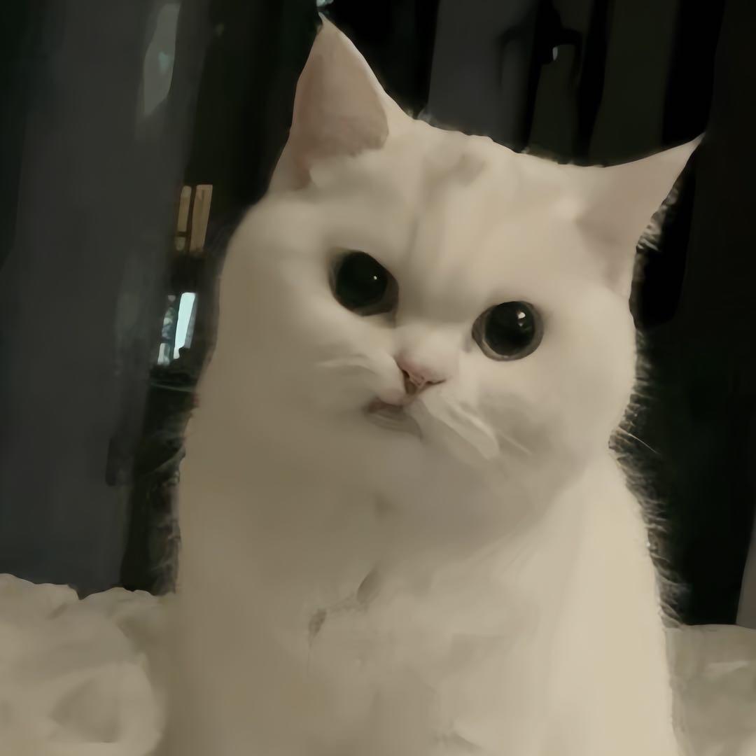 ωγκ