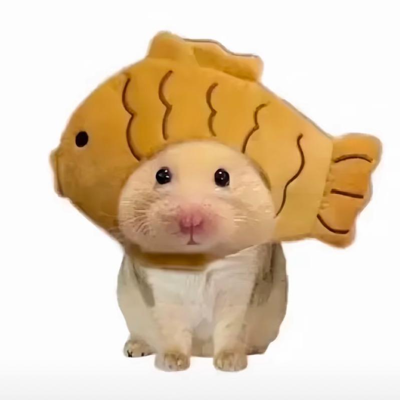 快乐小鱼