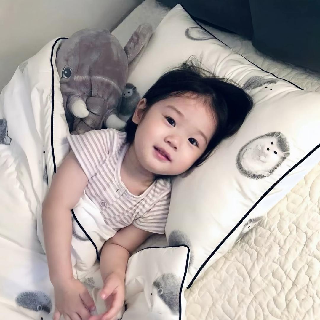 骗人小狗