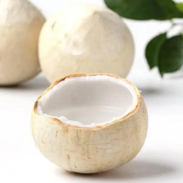 天子集企业店（椰皇季）