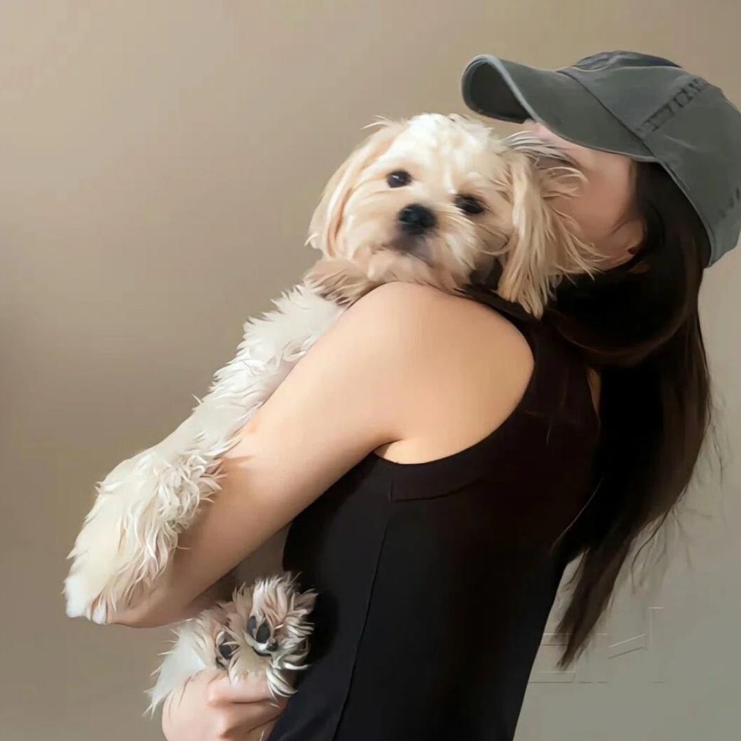 🧸ིྀ小糖桔.