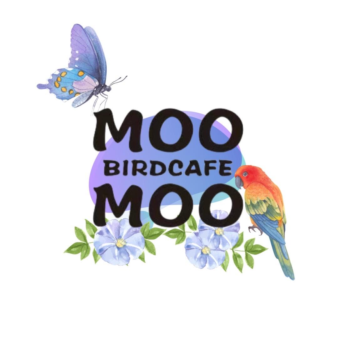 MOOMOO鸟咖