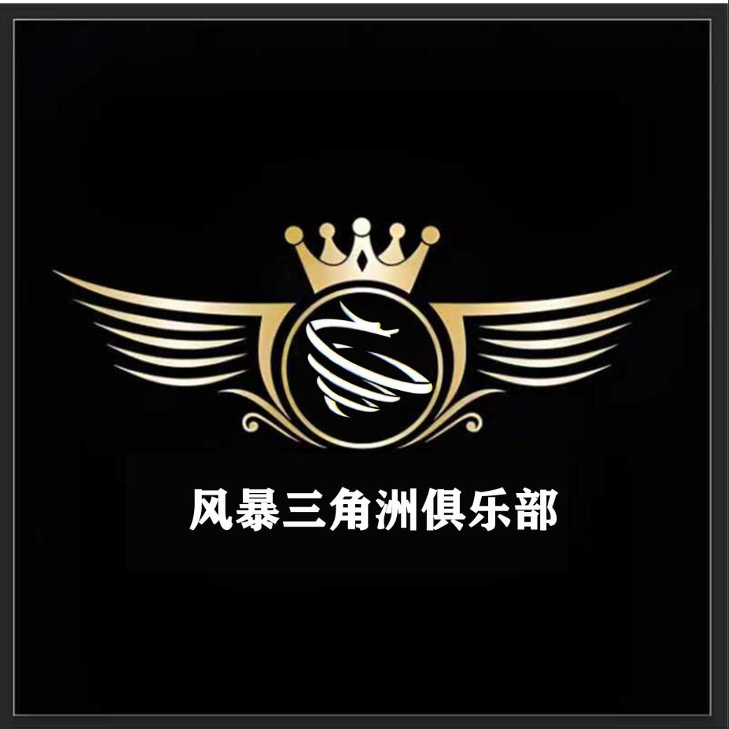 风暴电竞（昭纯绿打手）
