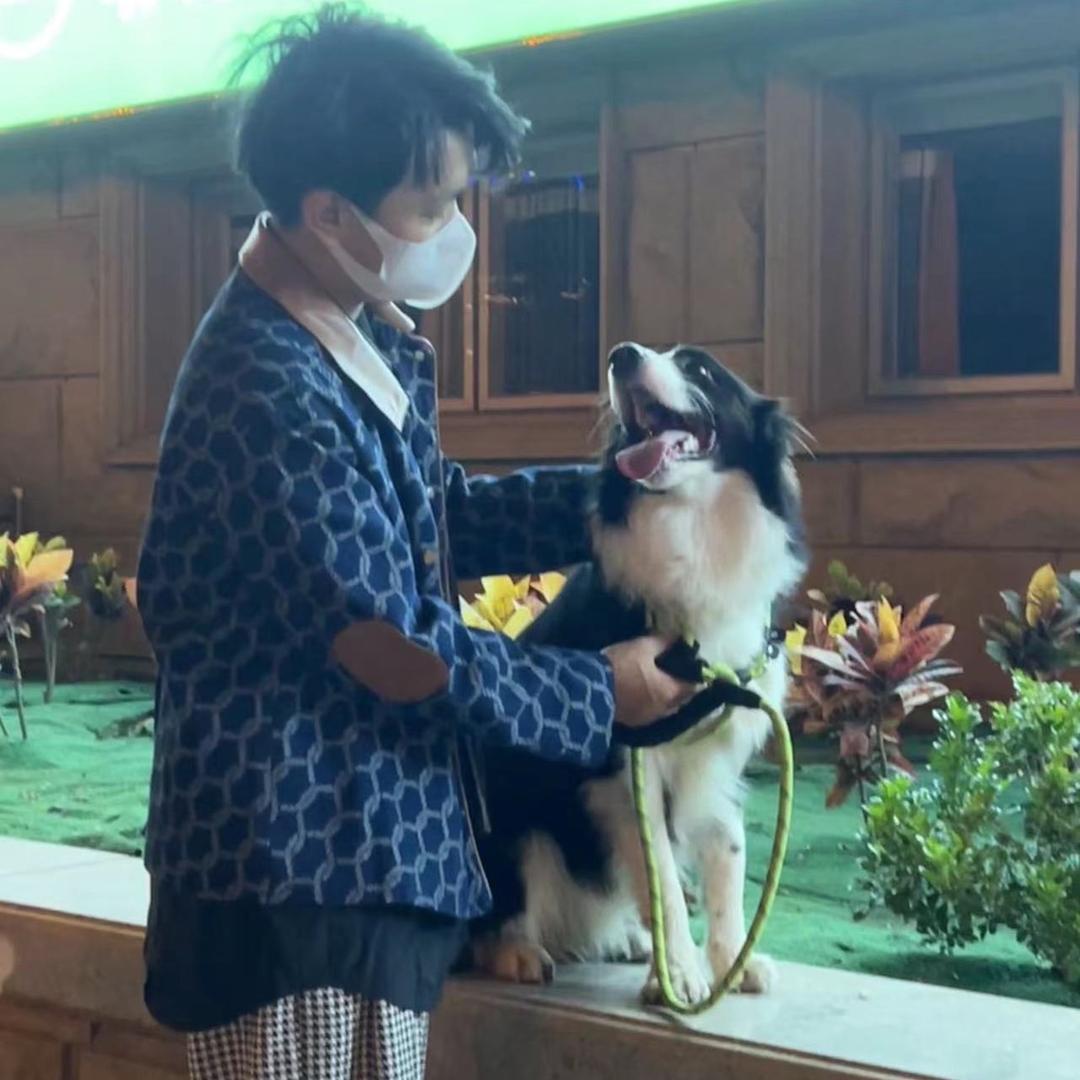 宜佳严选