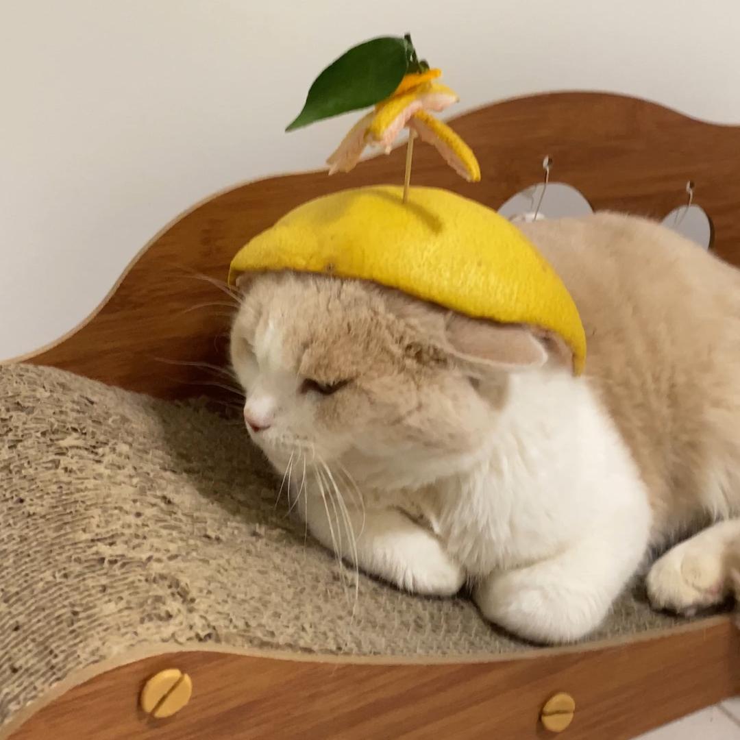 千年小葡萄