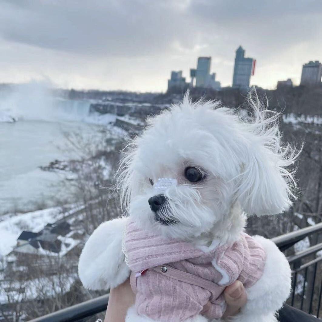 钱多多和金豆豆