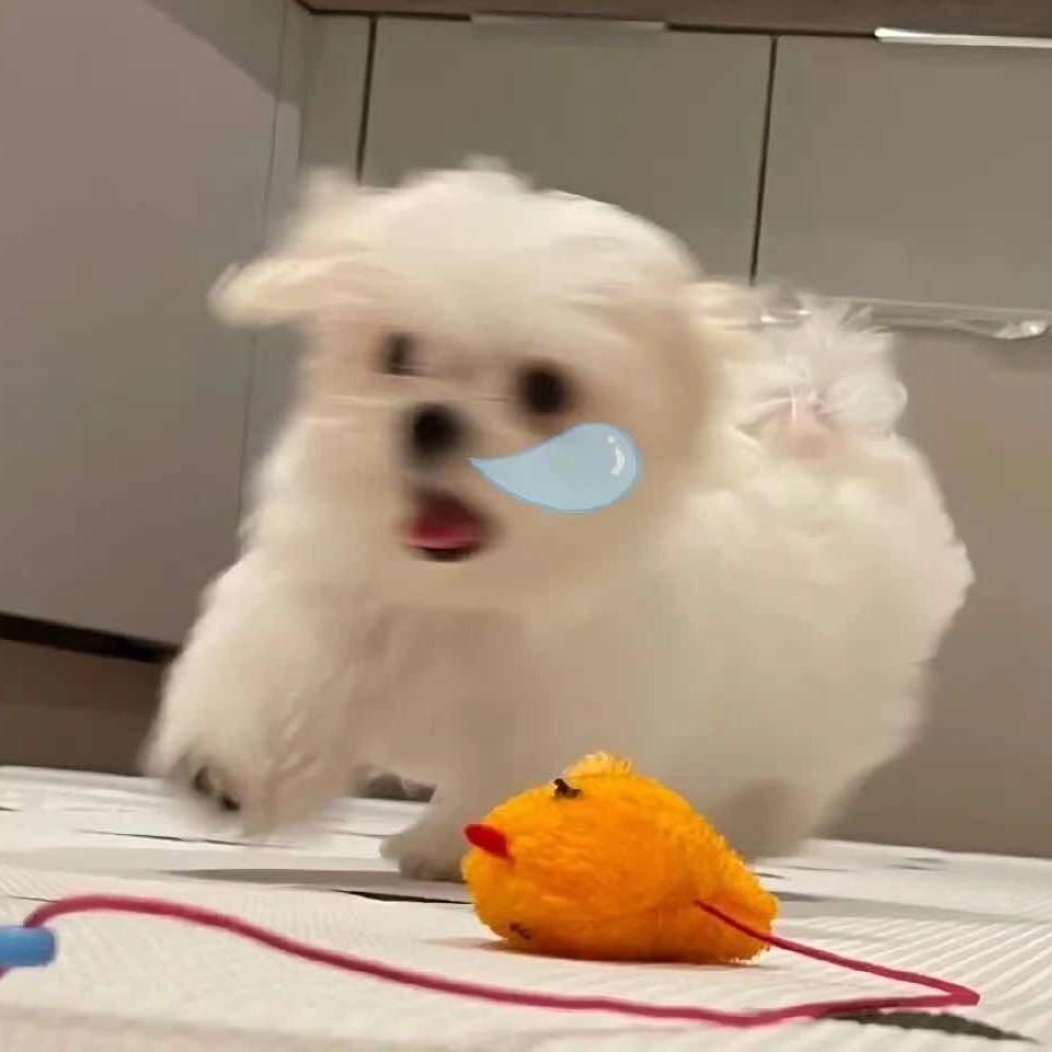 ༨ꫛꪝᝰ෴ /