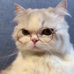 喵喵的花花世界