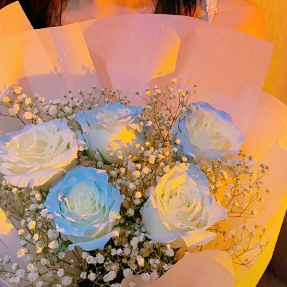 向日葵🌻🌞@抖音