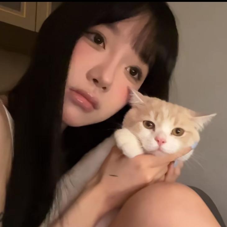 茄子