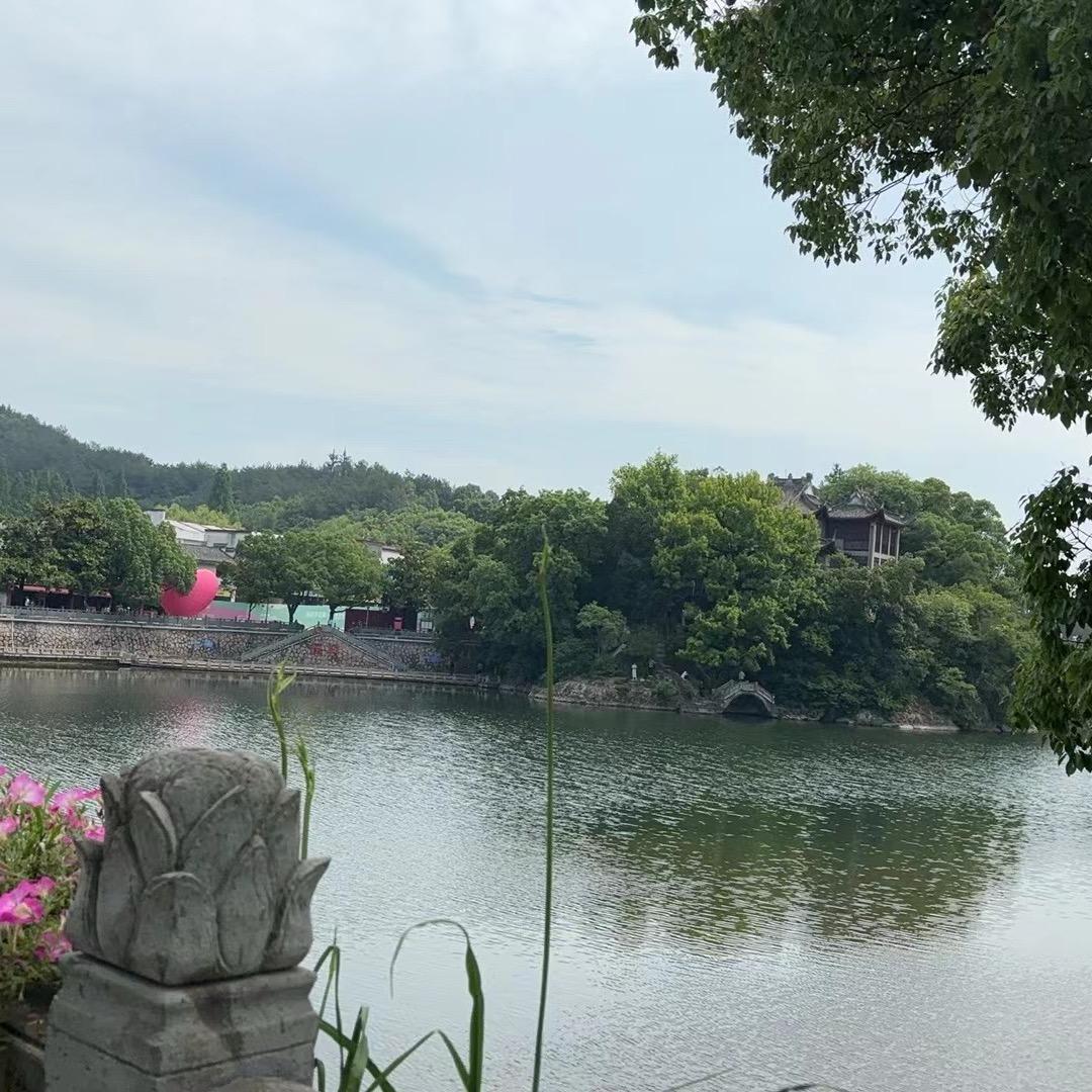 小林孑