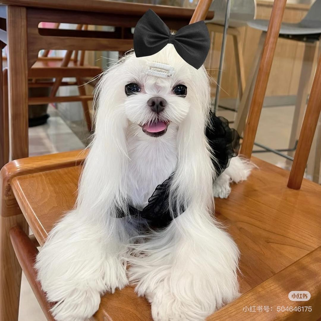 翩若惊鸿，婉若游龙