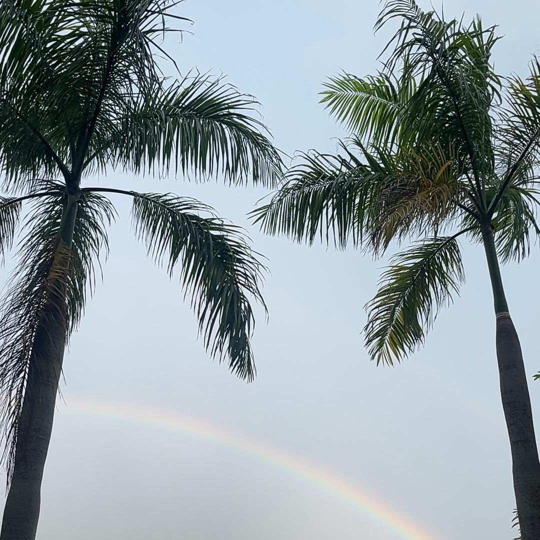 用户200187美味佳肴