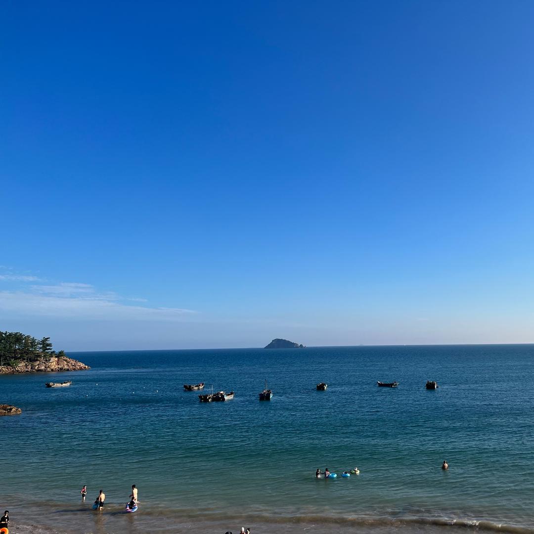 三条🐟