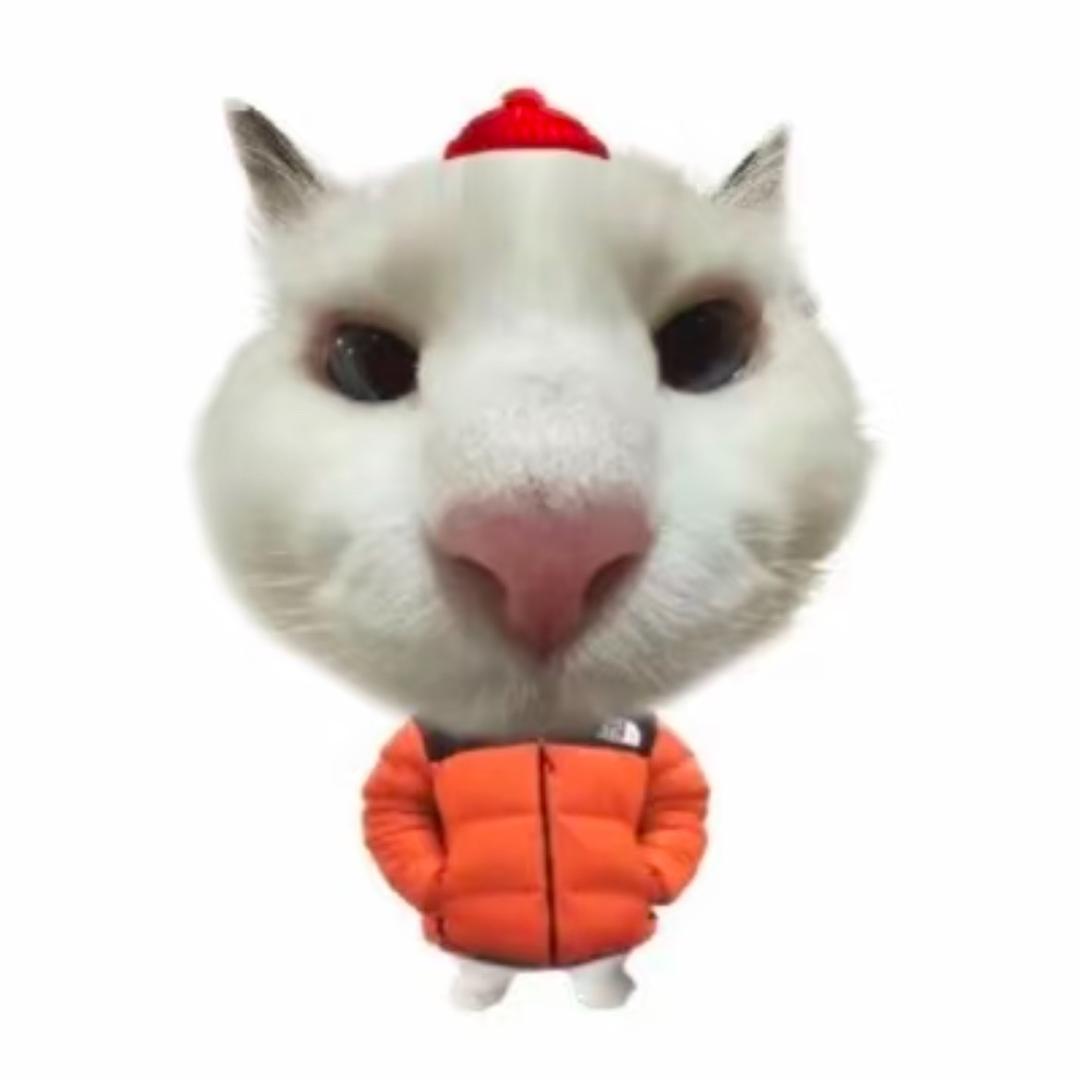 鱿鱼小兔