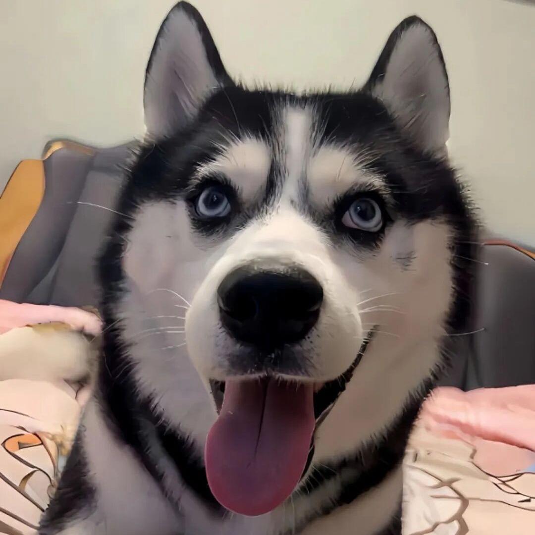 𝑌𝑎𝑛𝑔肉串