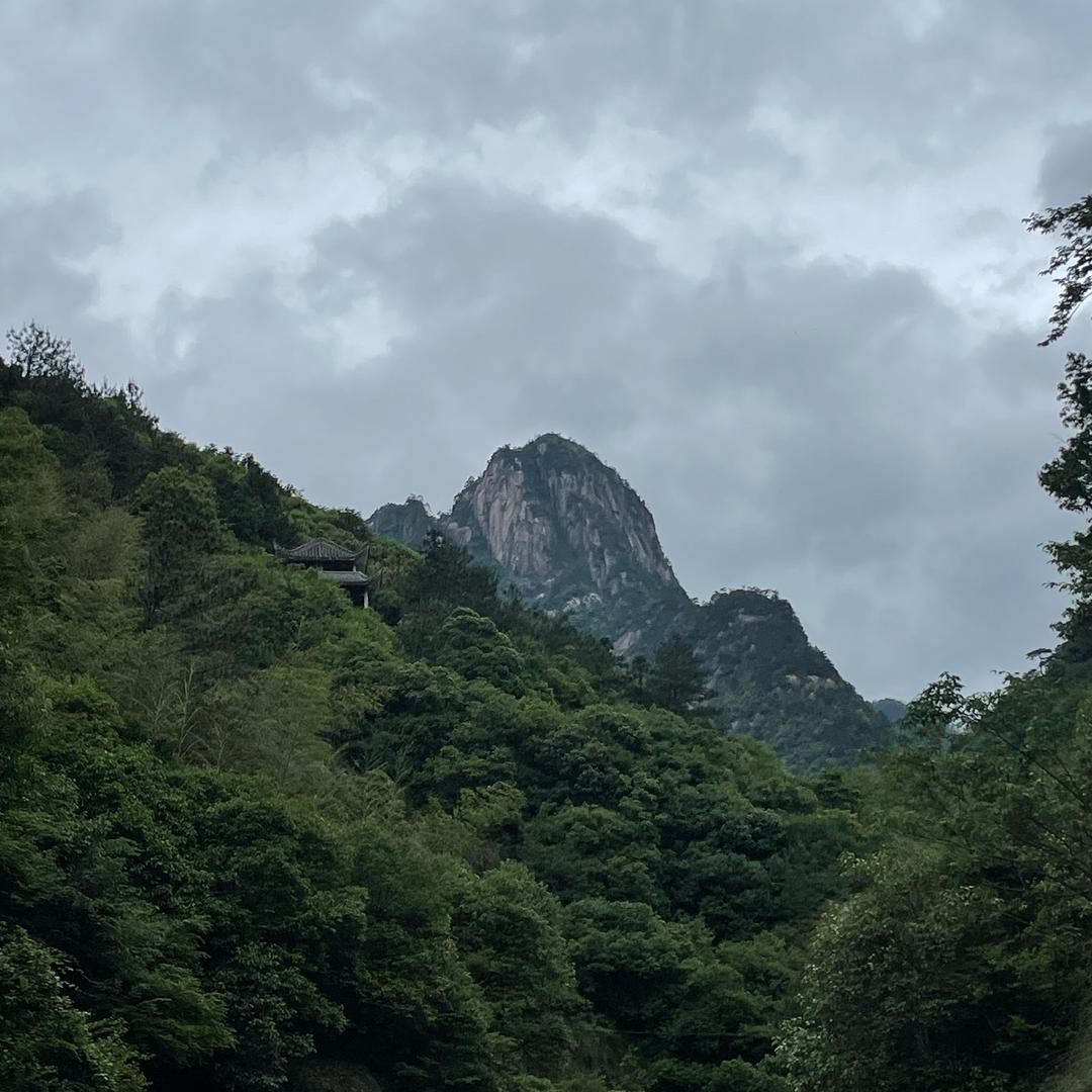 一只蒿草水上漂