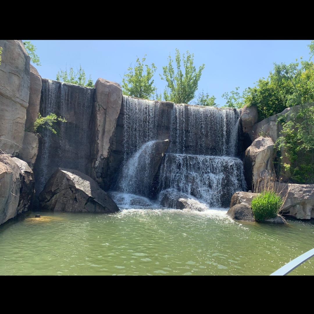 风之羽翼🌈🌈🌈🌈🌈🌈