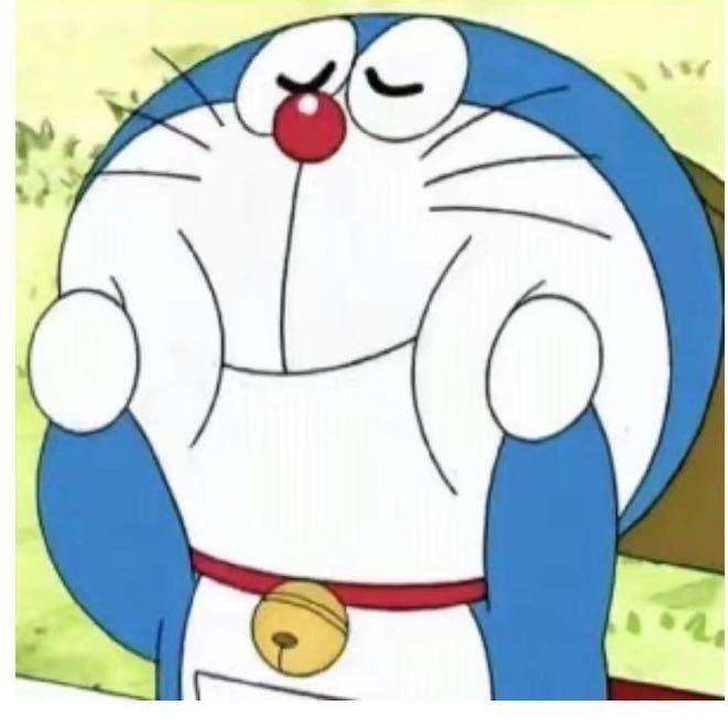 一定上岸