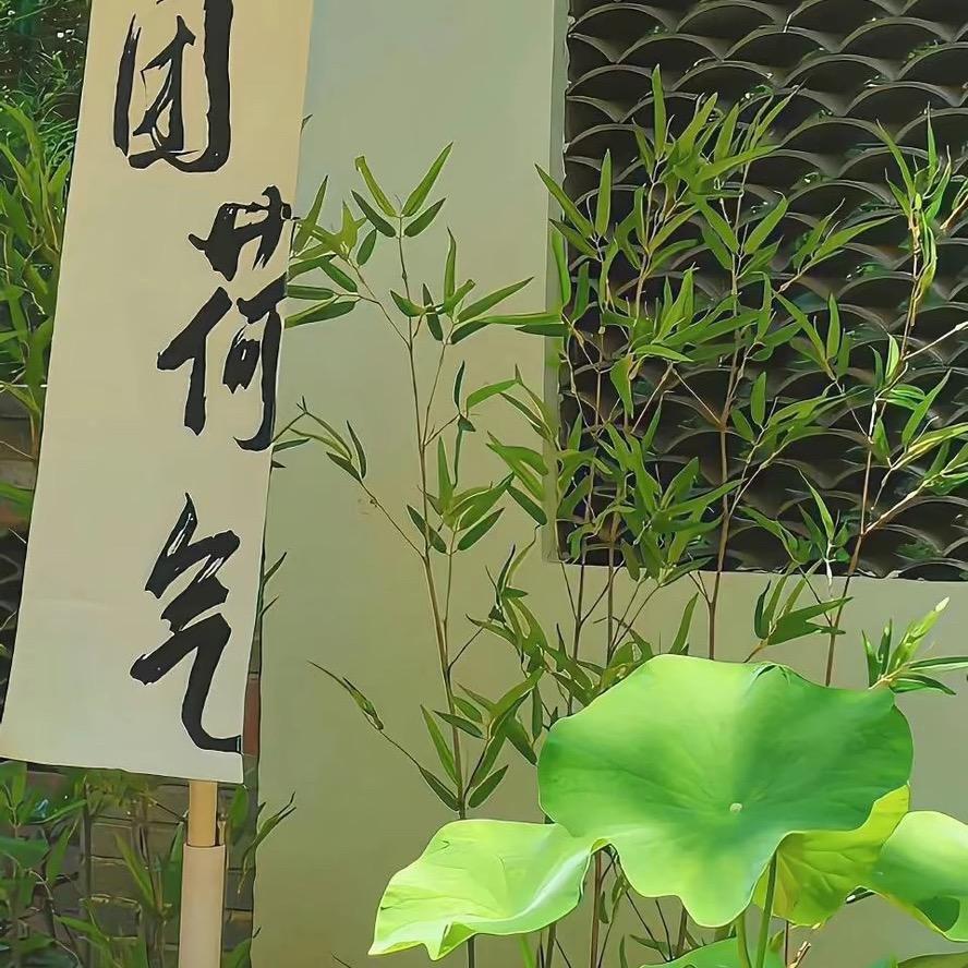 大鱼的海