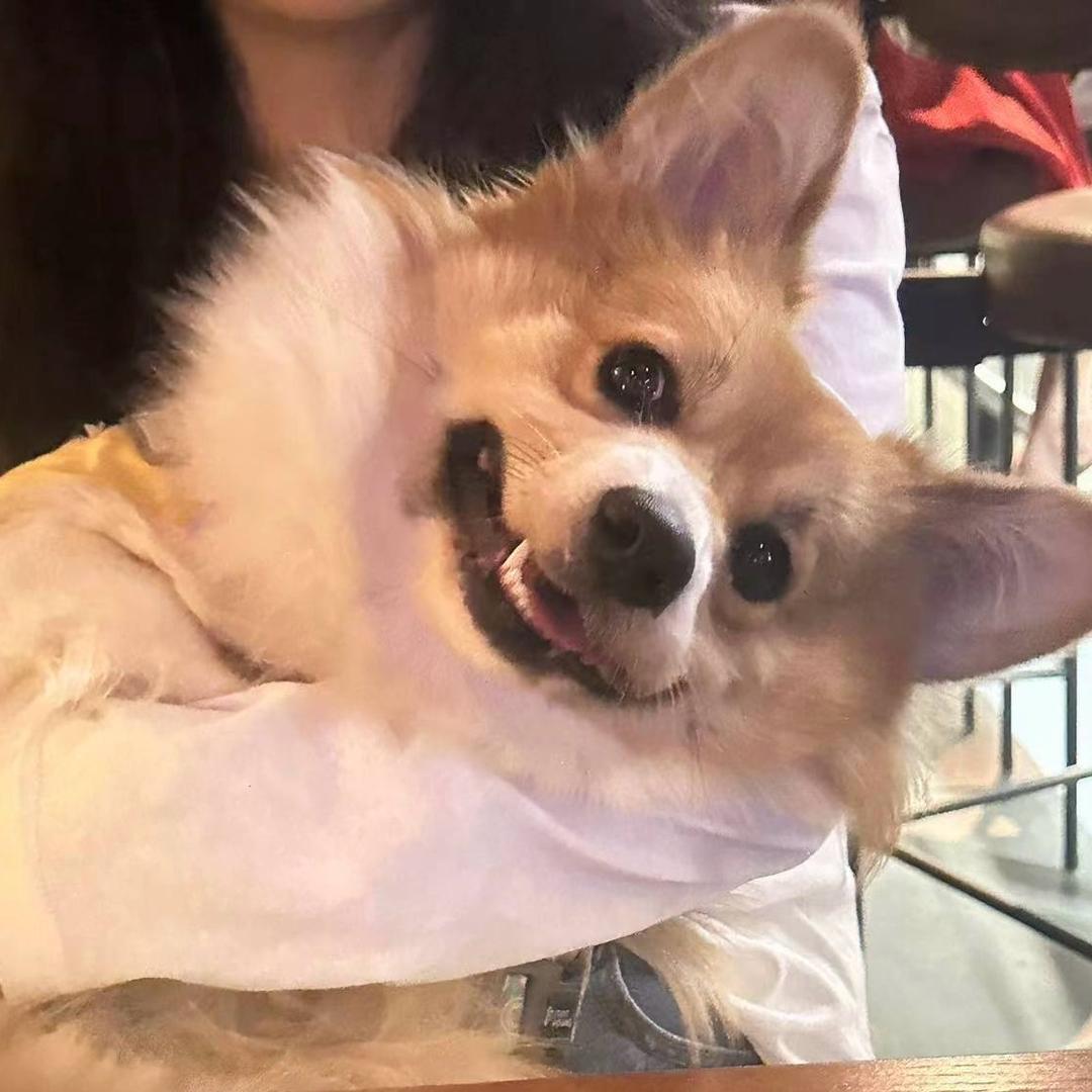 陳迷糊