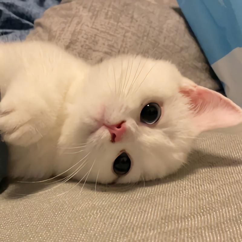 今天也很优秀呀