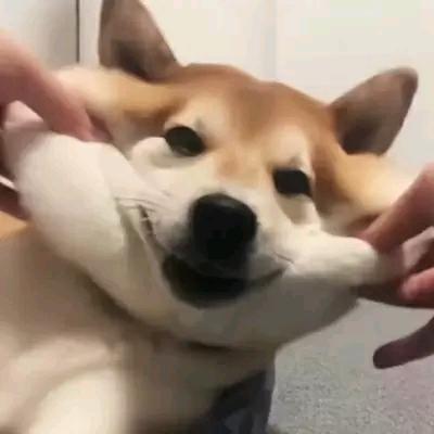 云云追剧