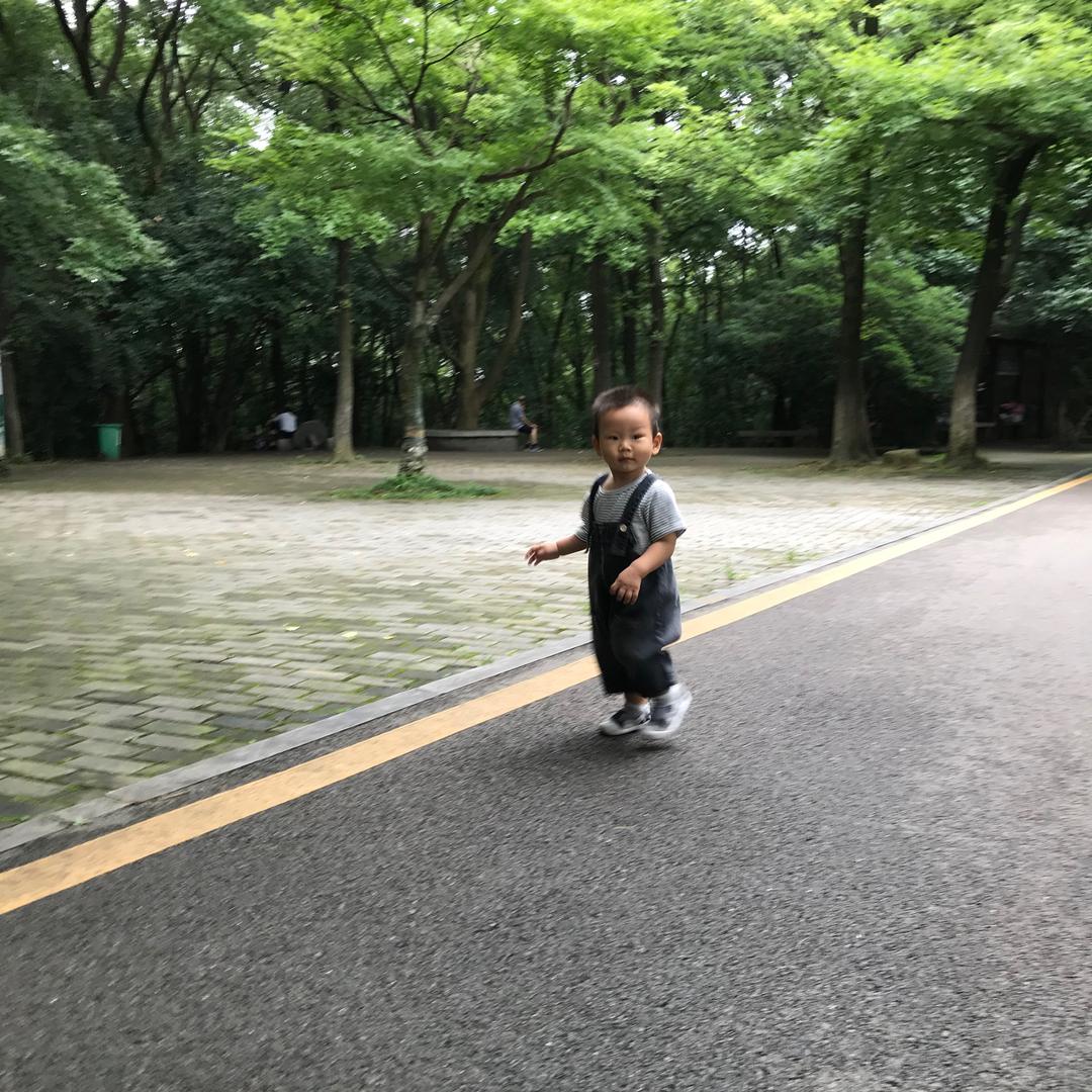 坎迪