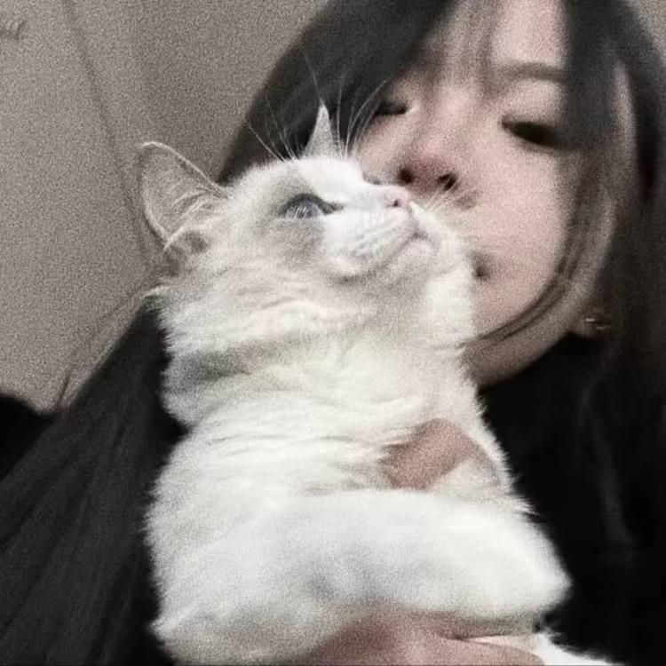 你的小许💕