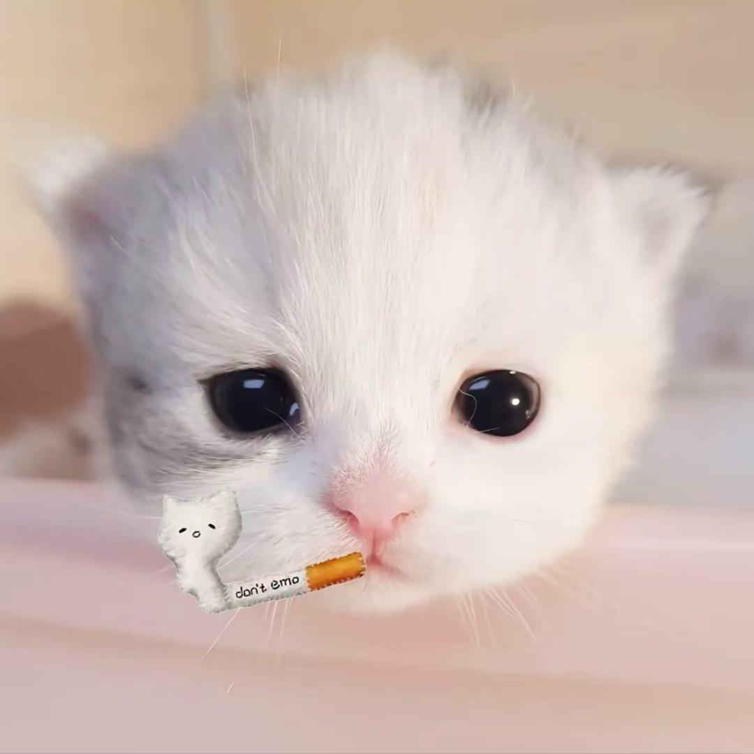 左耳