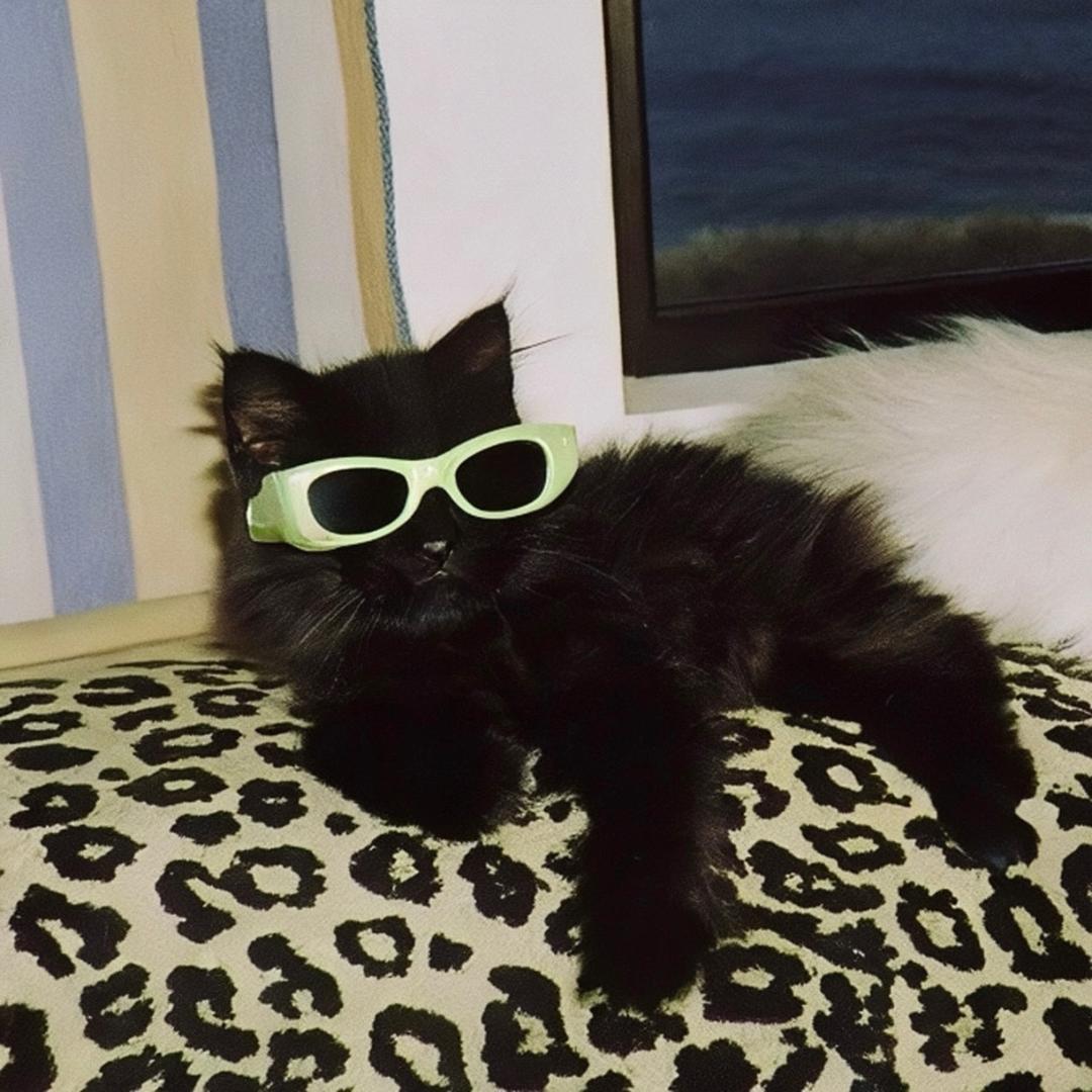 you（无畏契约）