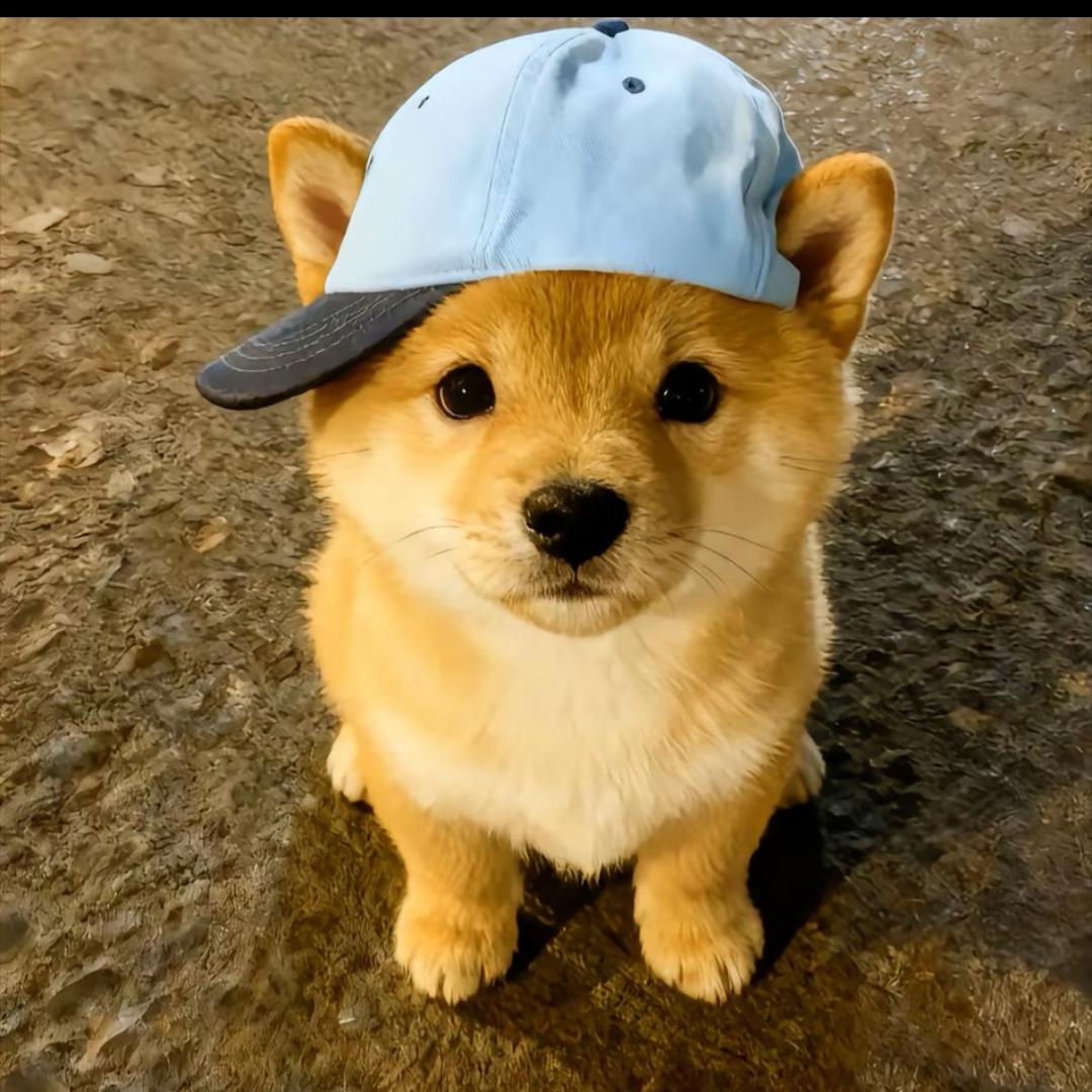 明天一定早睡