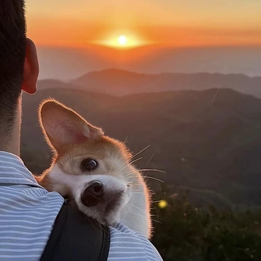 𝑾𝒐𝒓𝒊𝒊✨yu