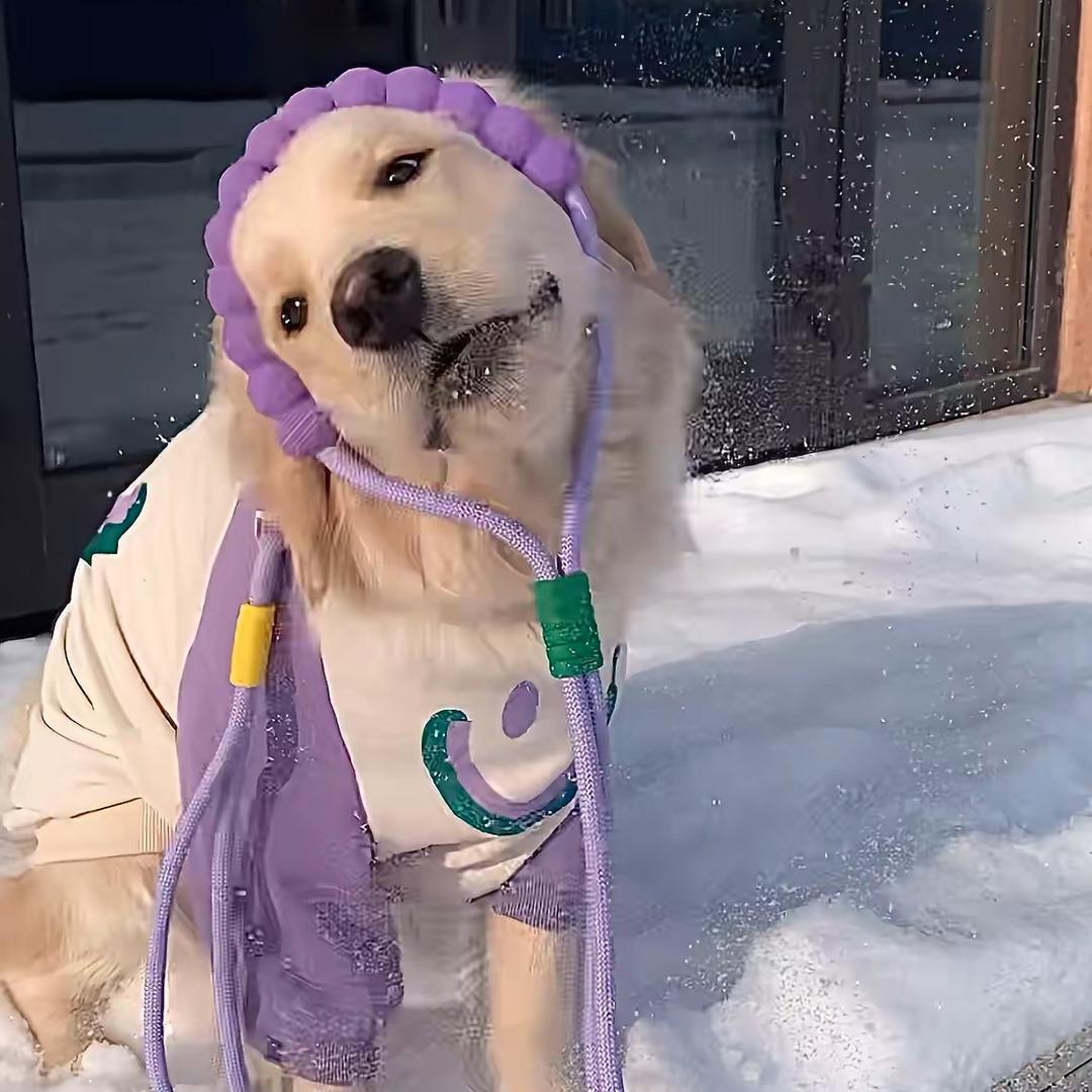 🍇🍇