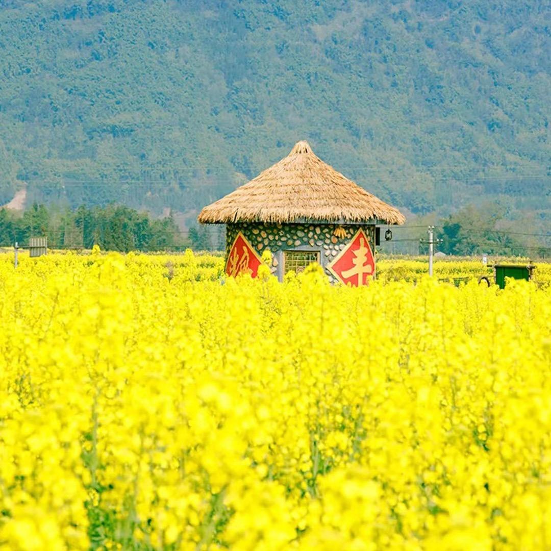 山东依味源食品有限公司