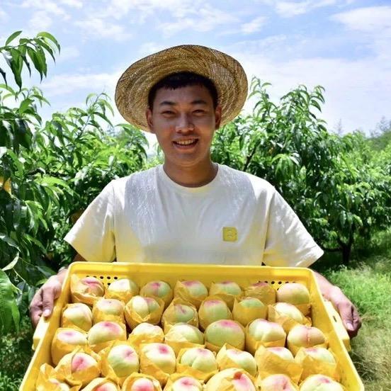 奉化骆家水蜜桃